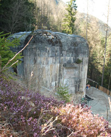Der Bunker im Wald